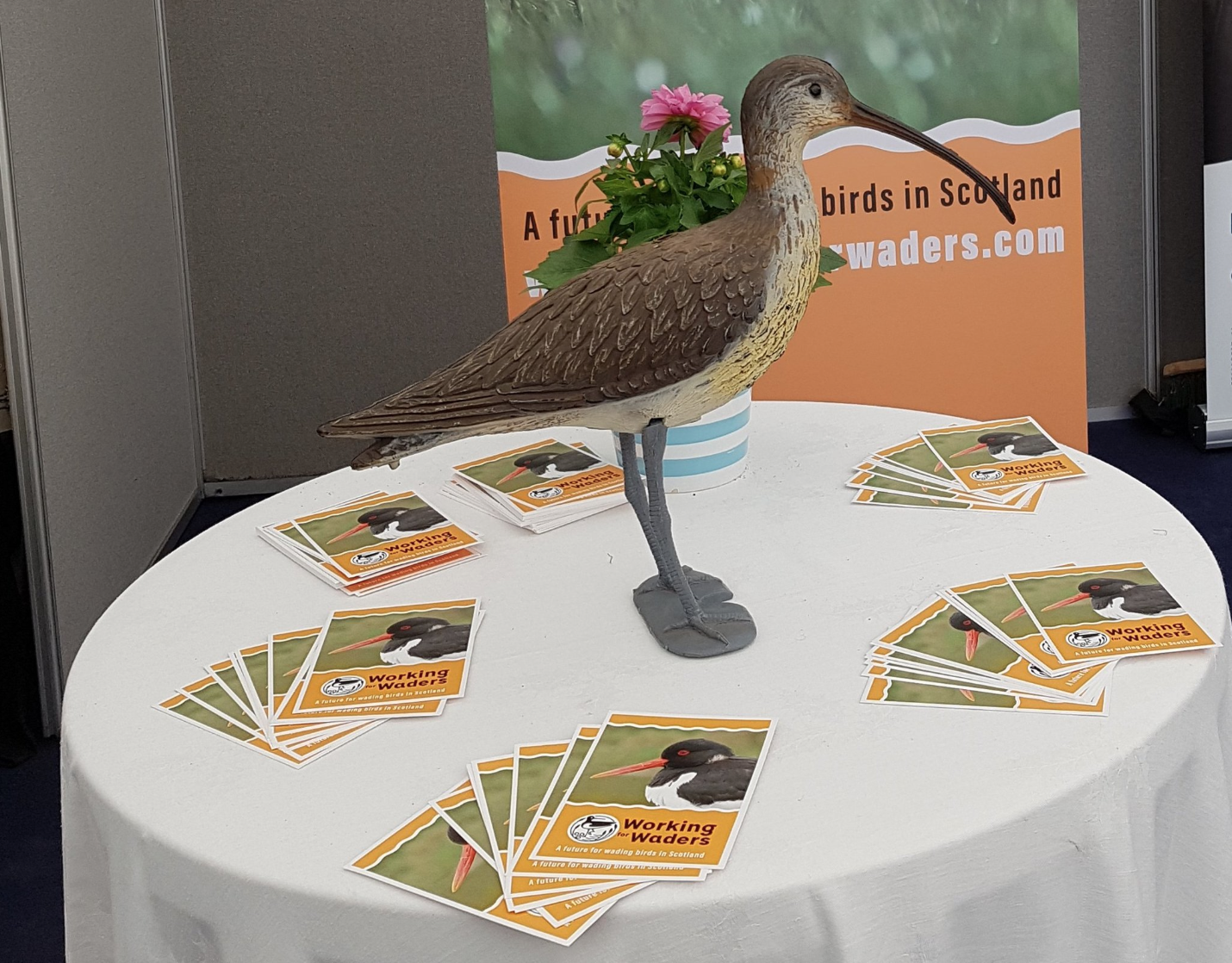 The Working for Waders stand in the NSA Scotland tent