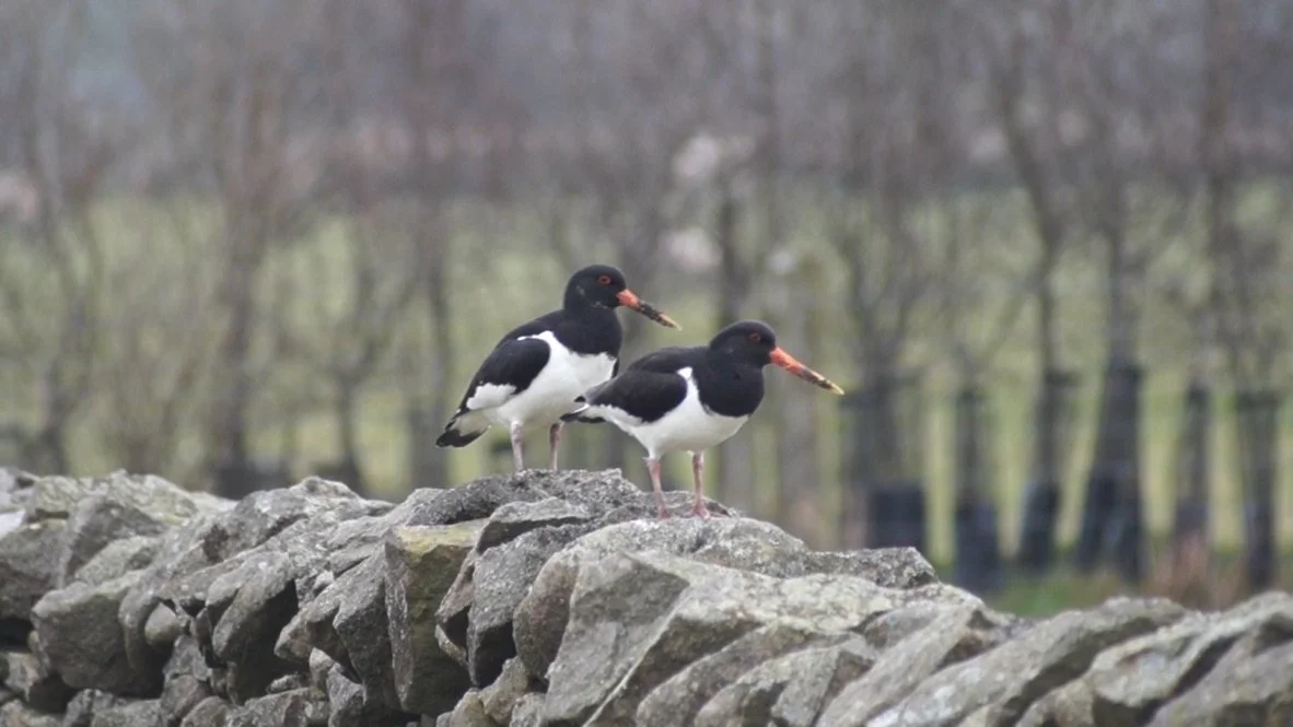 The Right Place at the Right Time - by Leah Gray