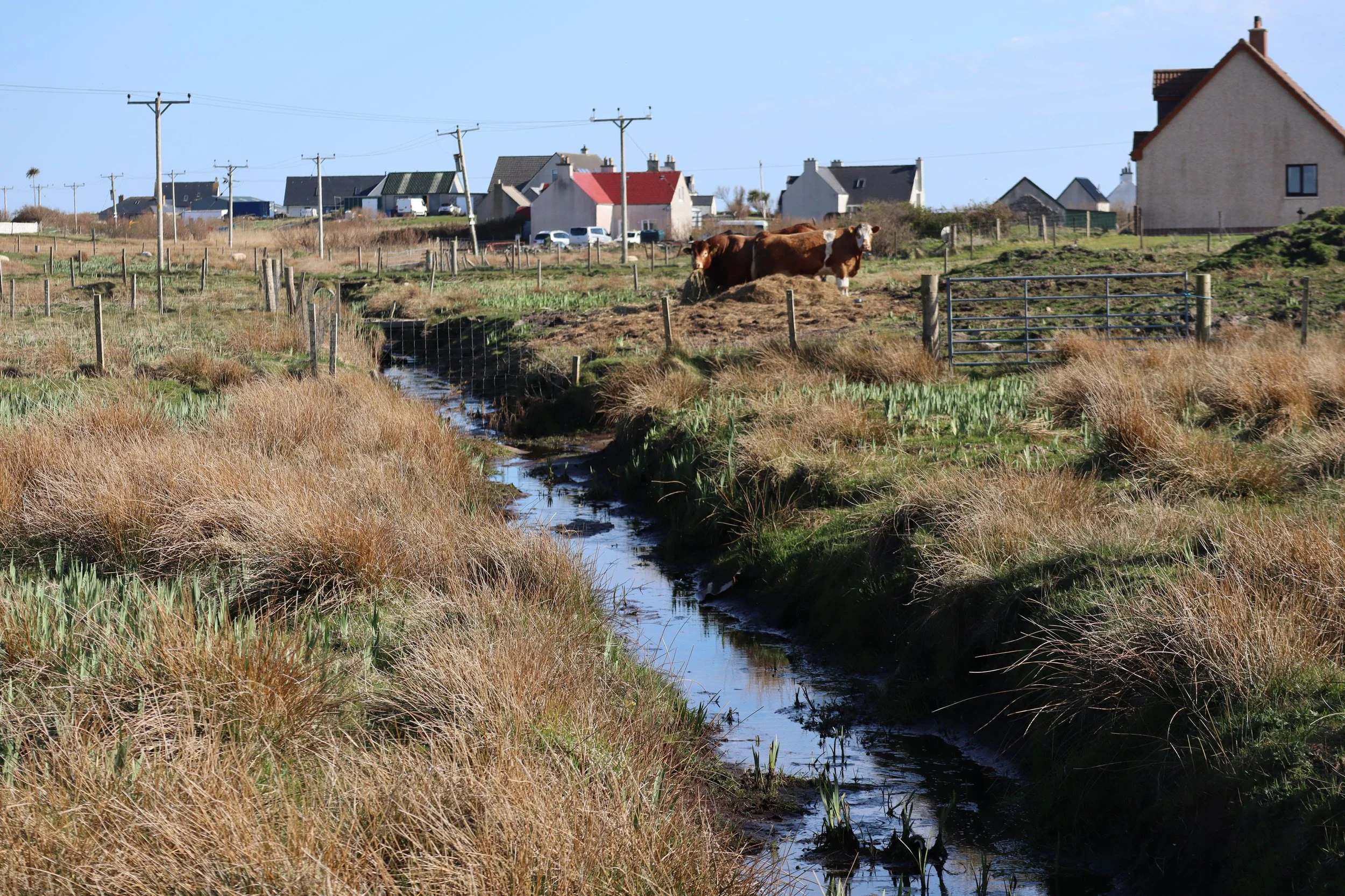 Wader Recovery Areas