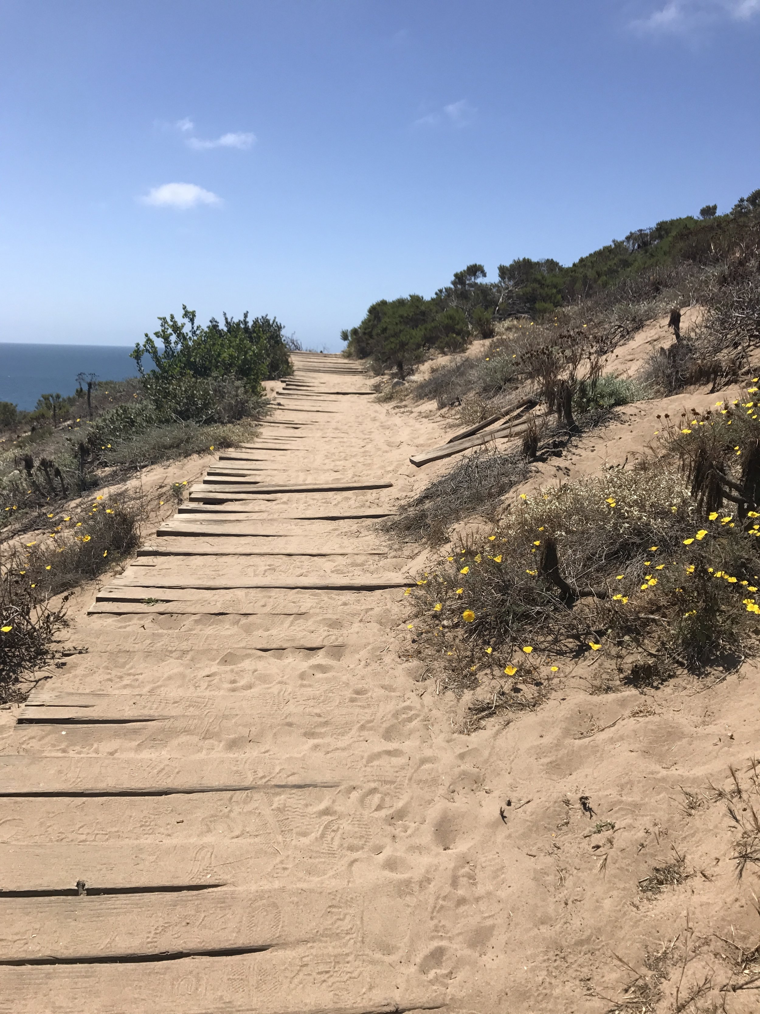 Model, blogger, Alexandra Meredith, in Malibu, California.