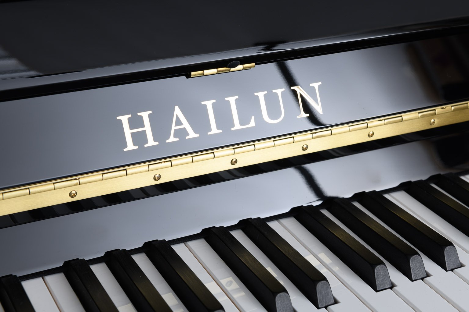 Hailun H9-P Polished ebony 19.jpg