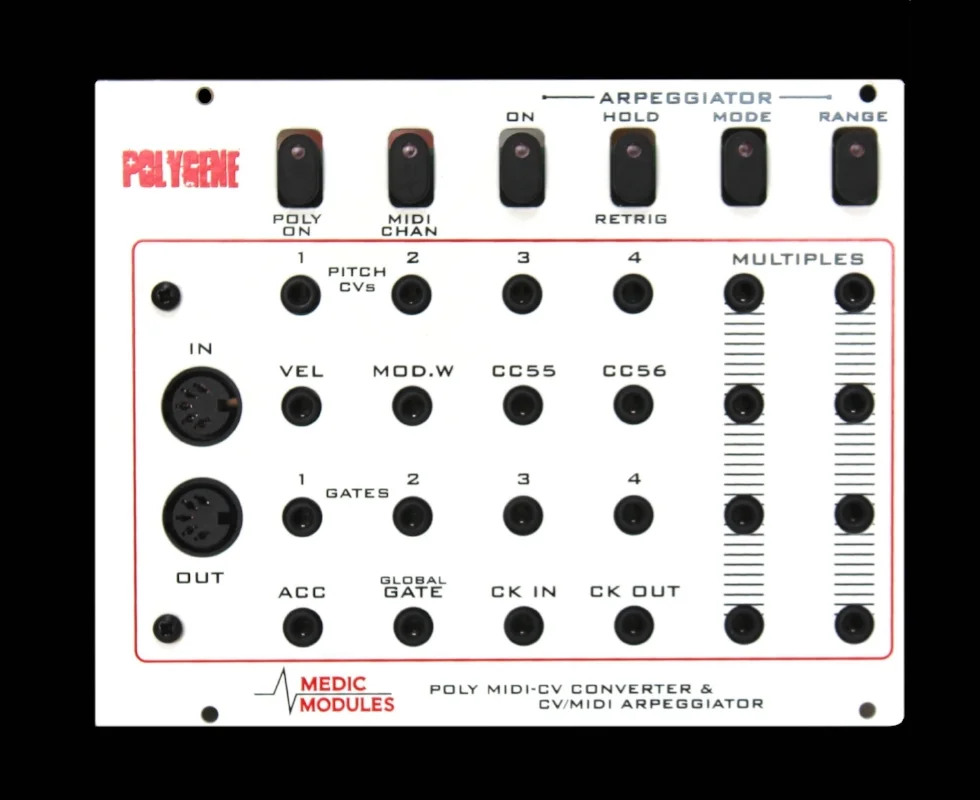 polygene-front.jpeg