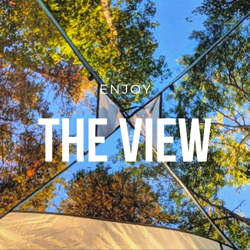 the view 2 (1).jpg