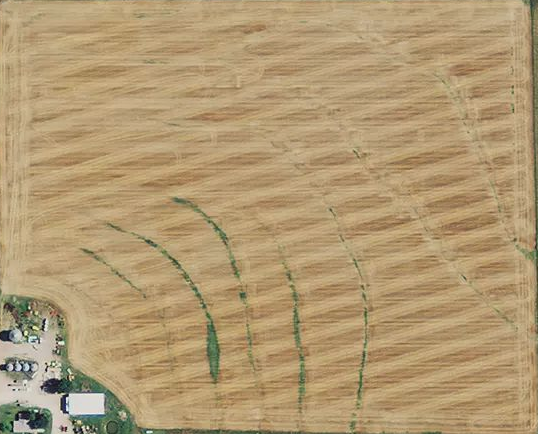 Farm Field Without NDVI.png