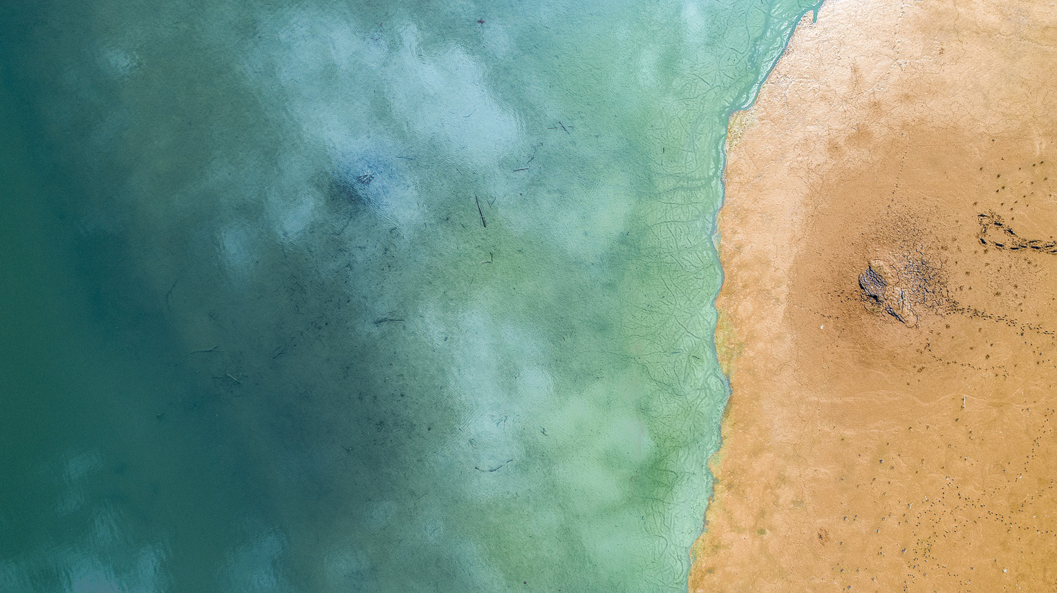 aerial-view-drone-ocean-sand-micha-unsplash.png