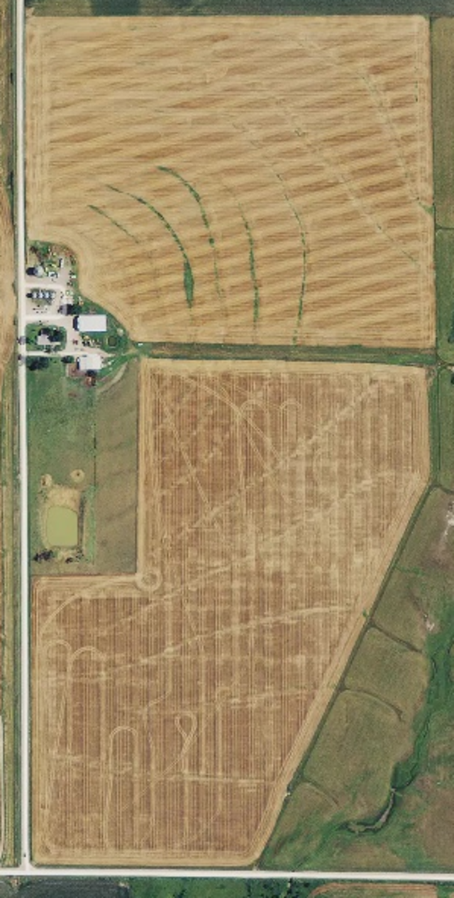 Use standard RGB imagery to save time and improve field scouting by identifying and going straight to the source of the problem without disturbing healthy crops.