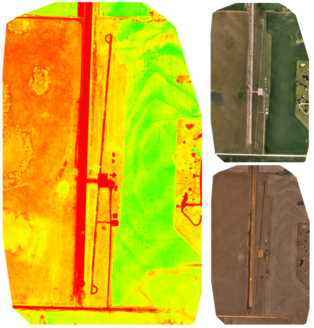 An NDVI orthomosaic map of an airstrip and nearby field (left) are made from a combination of RGB (top right) and NIR (bottom right) imagery. NDVI image processing makes variations in crop health more apparent than standard RGB imagery can.