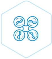 Capture-Icon.png