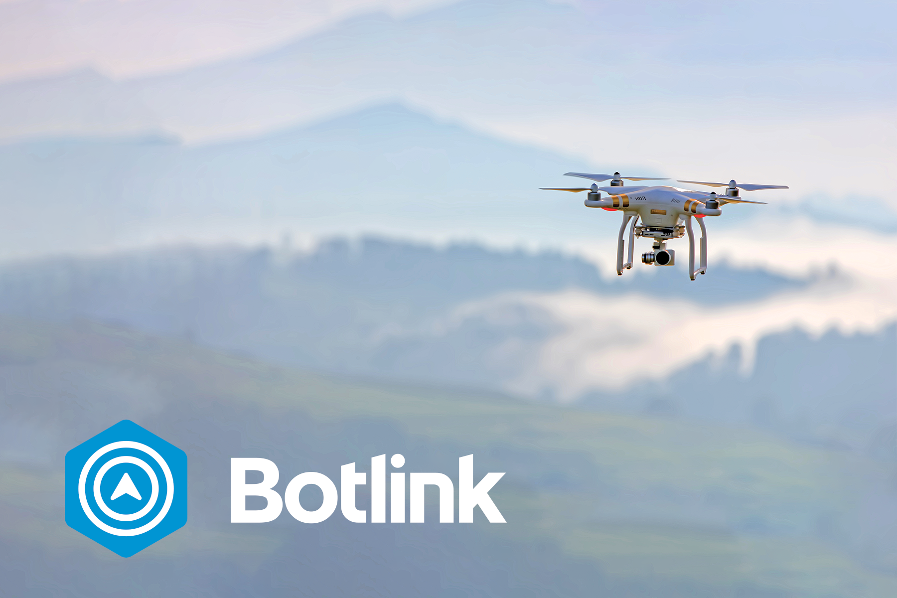 Botlink Logo and Drone.png