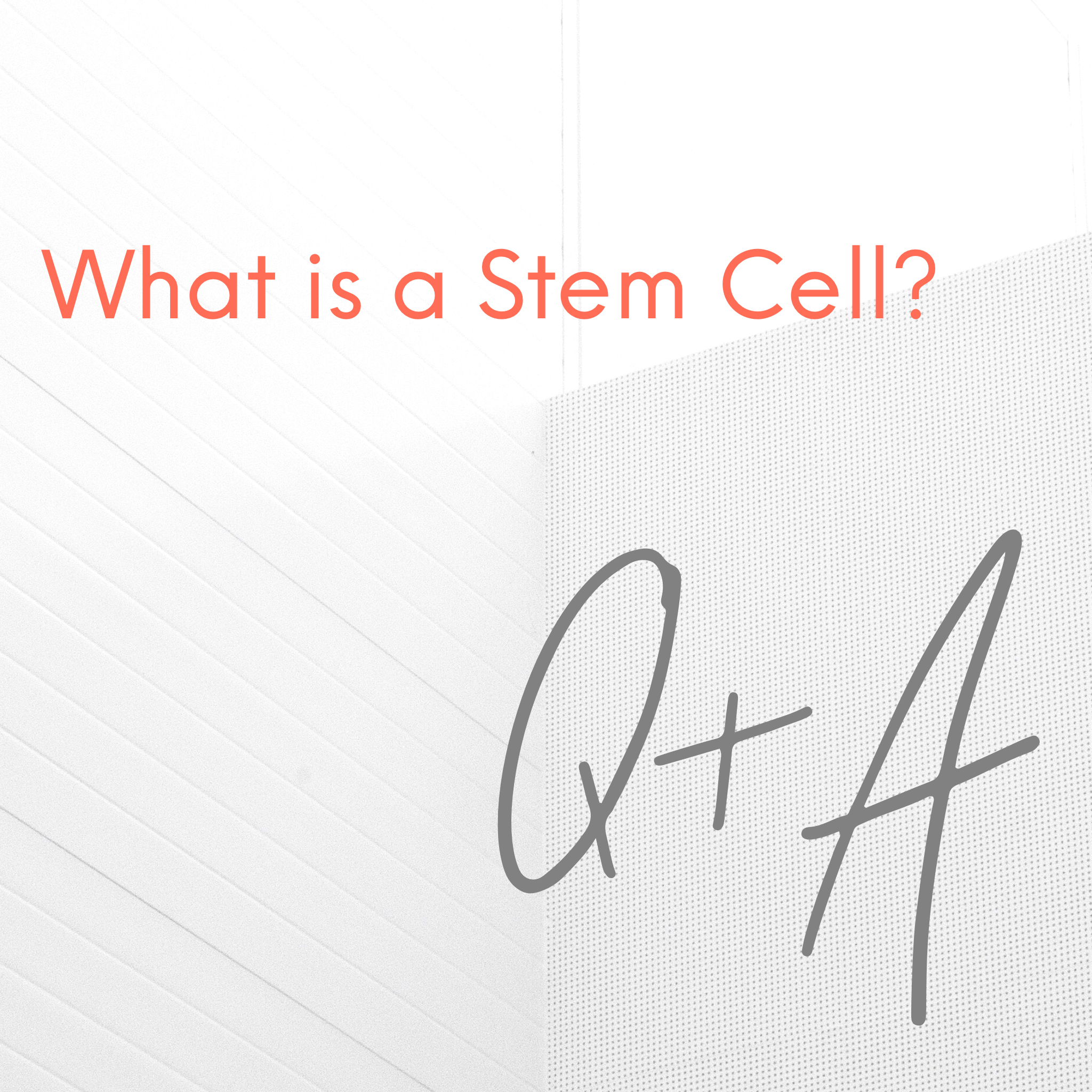 What is a Stem Cell.jpg