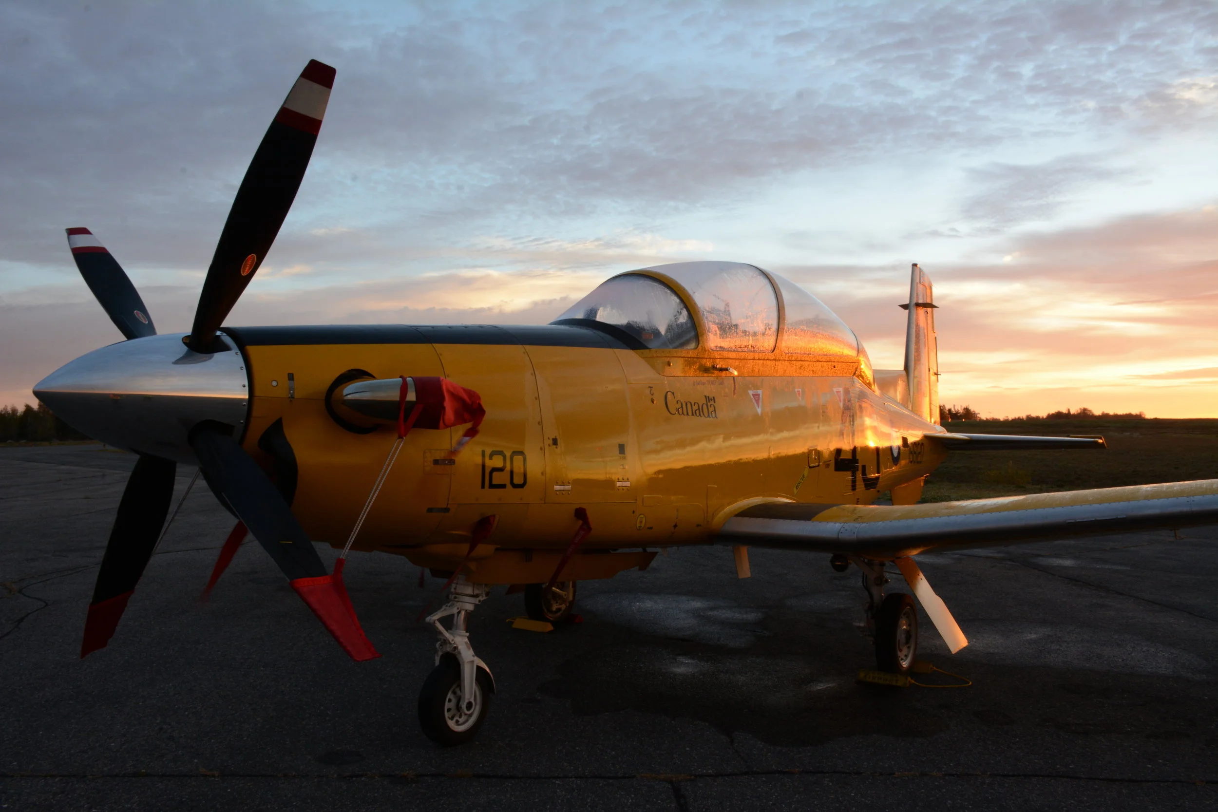 DSC_5561.JPG