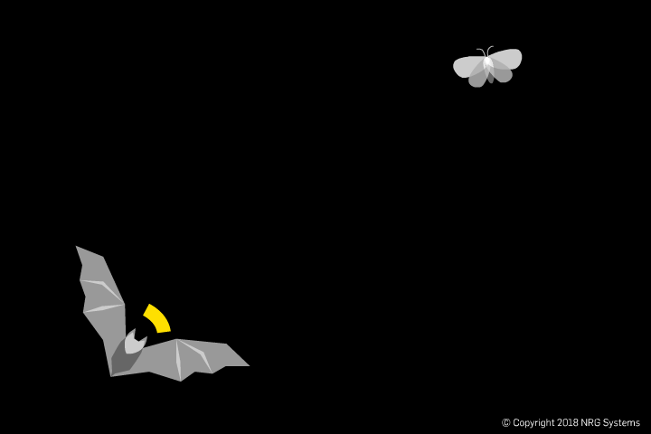 Bat_Animation_BAT_MOTH.gif