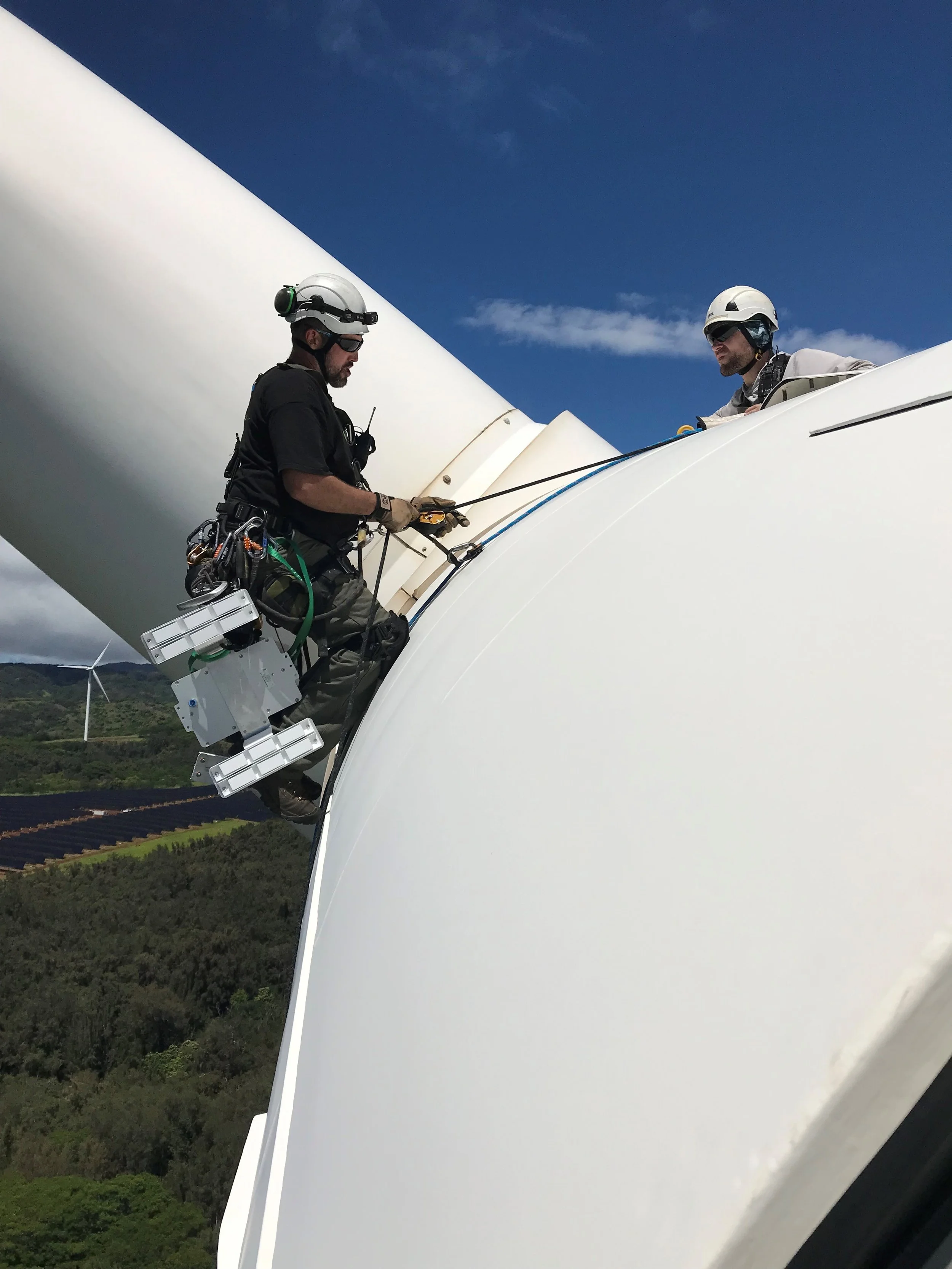 NRG Systems Announces First Commercial Sale of Bat Deterrent System to Kawailoa Wind