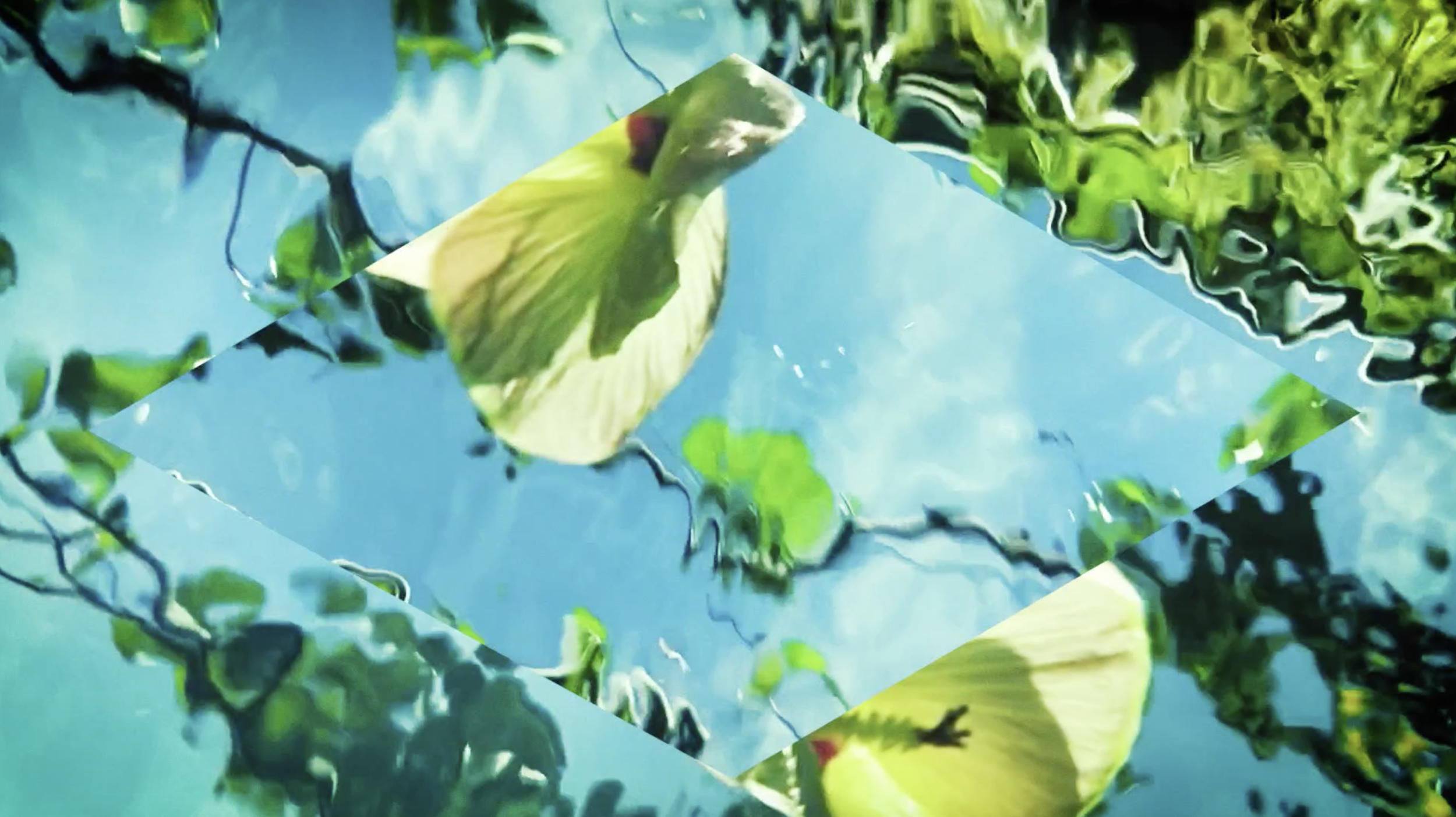 Screenshot 2020-06-12 at 21.00.33.png