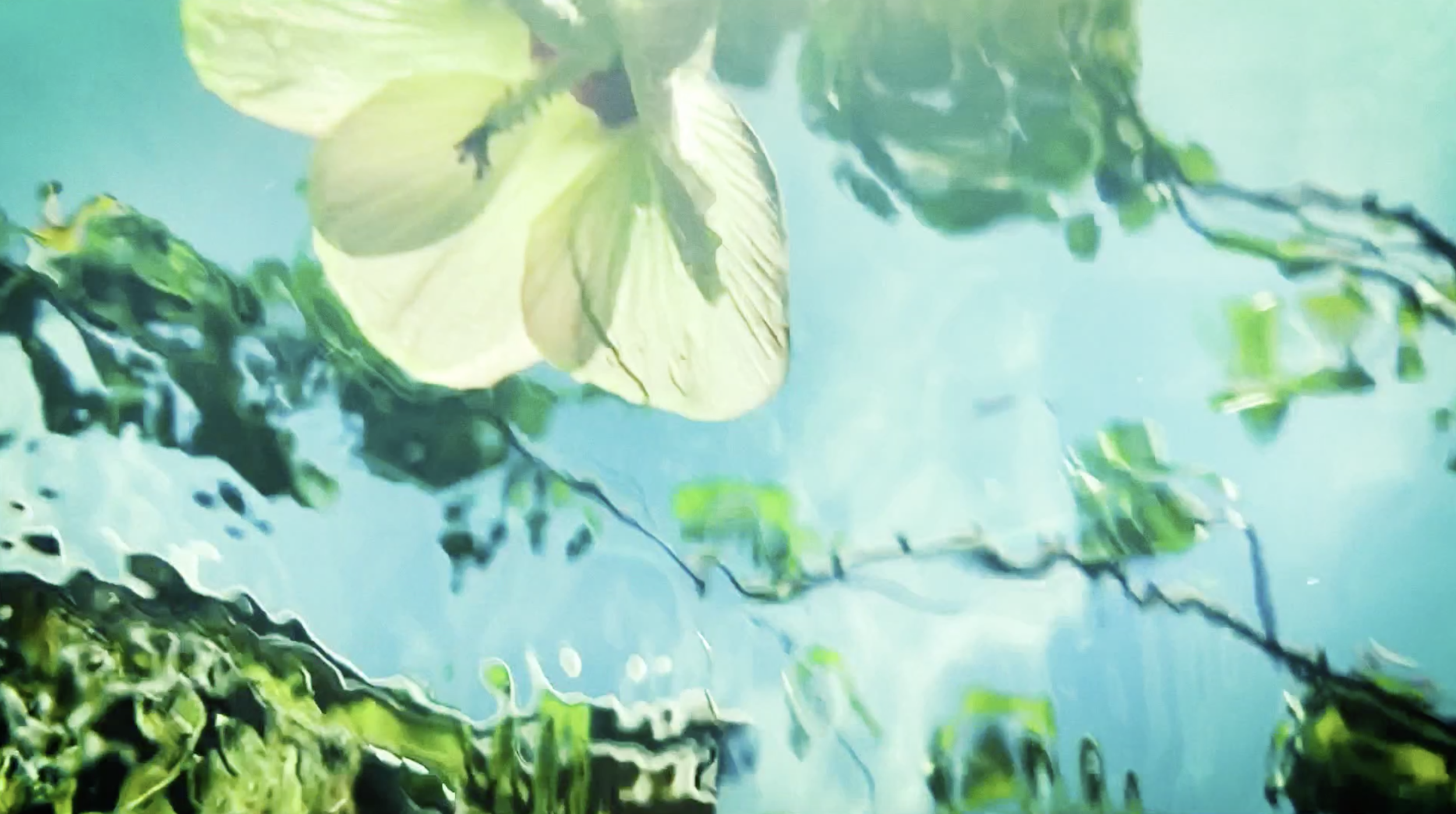 Screenshot 2020-06-12 at 21.02.49.png