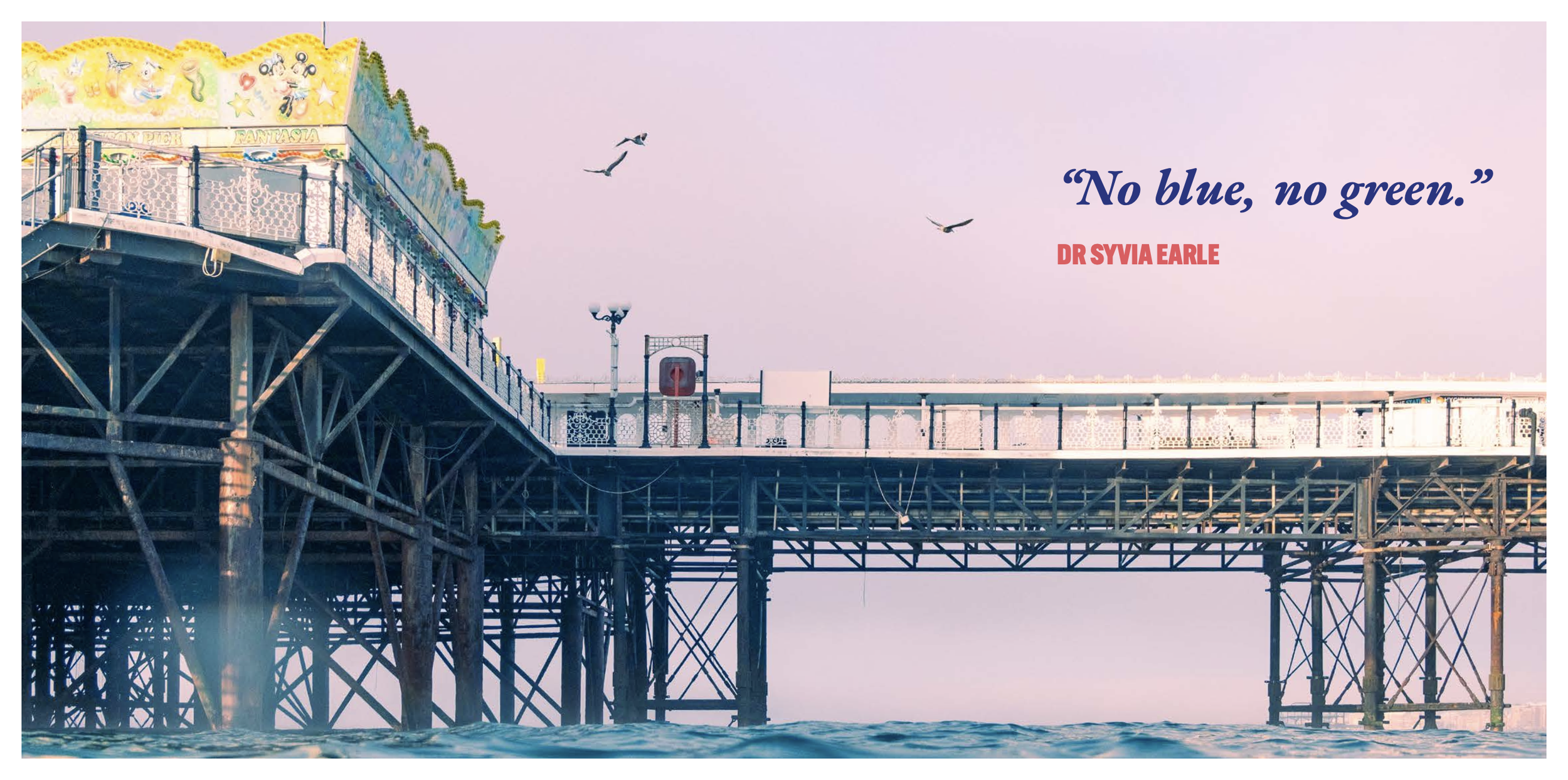 Screenshot 2022-11-22 at 14.10.36.png