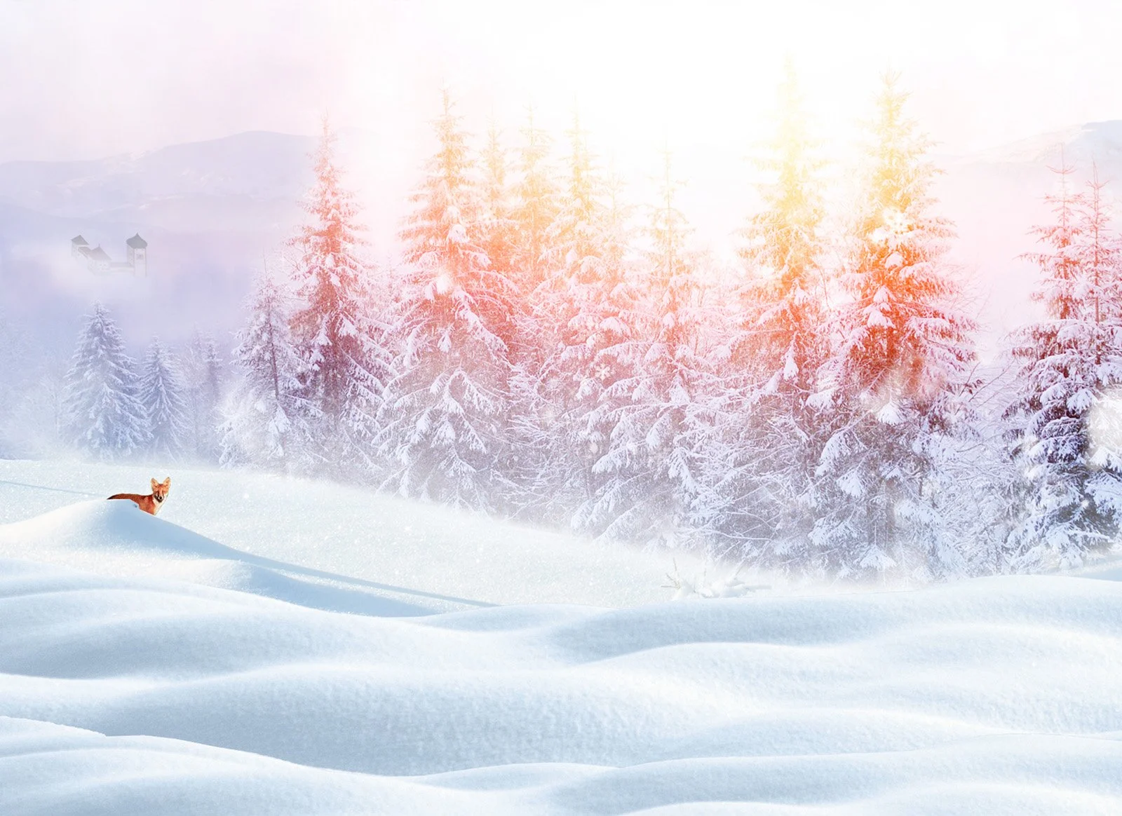 forst_winter.jpg