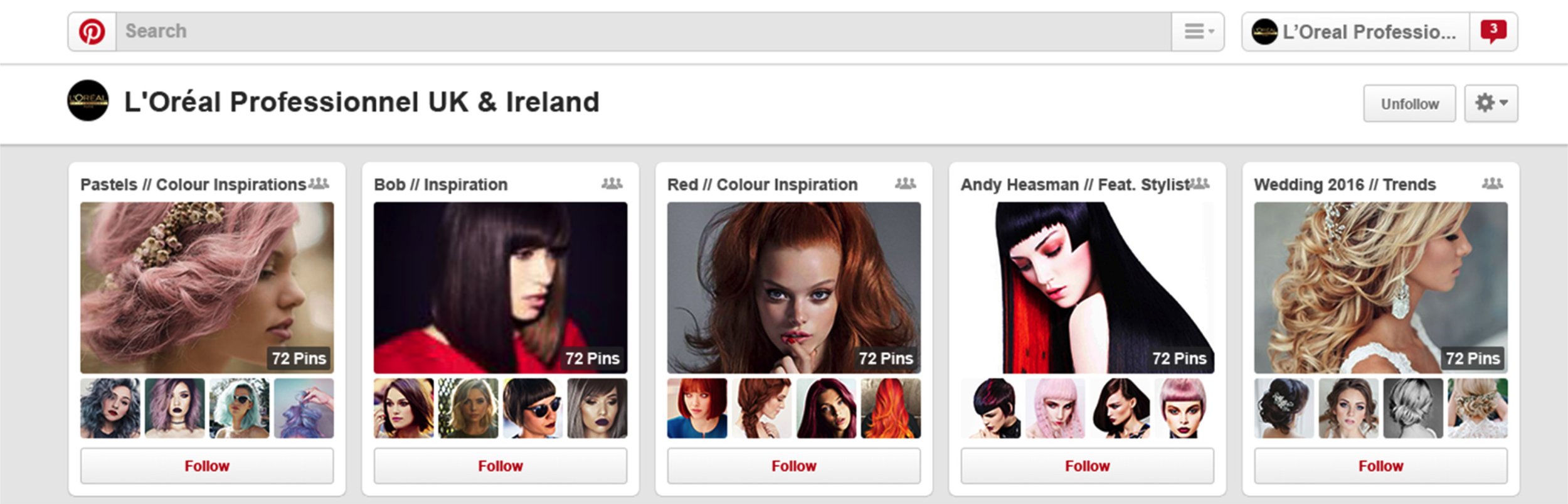 loreal-pro_pinterest.jpg