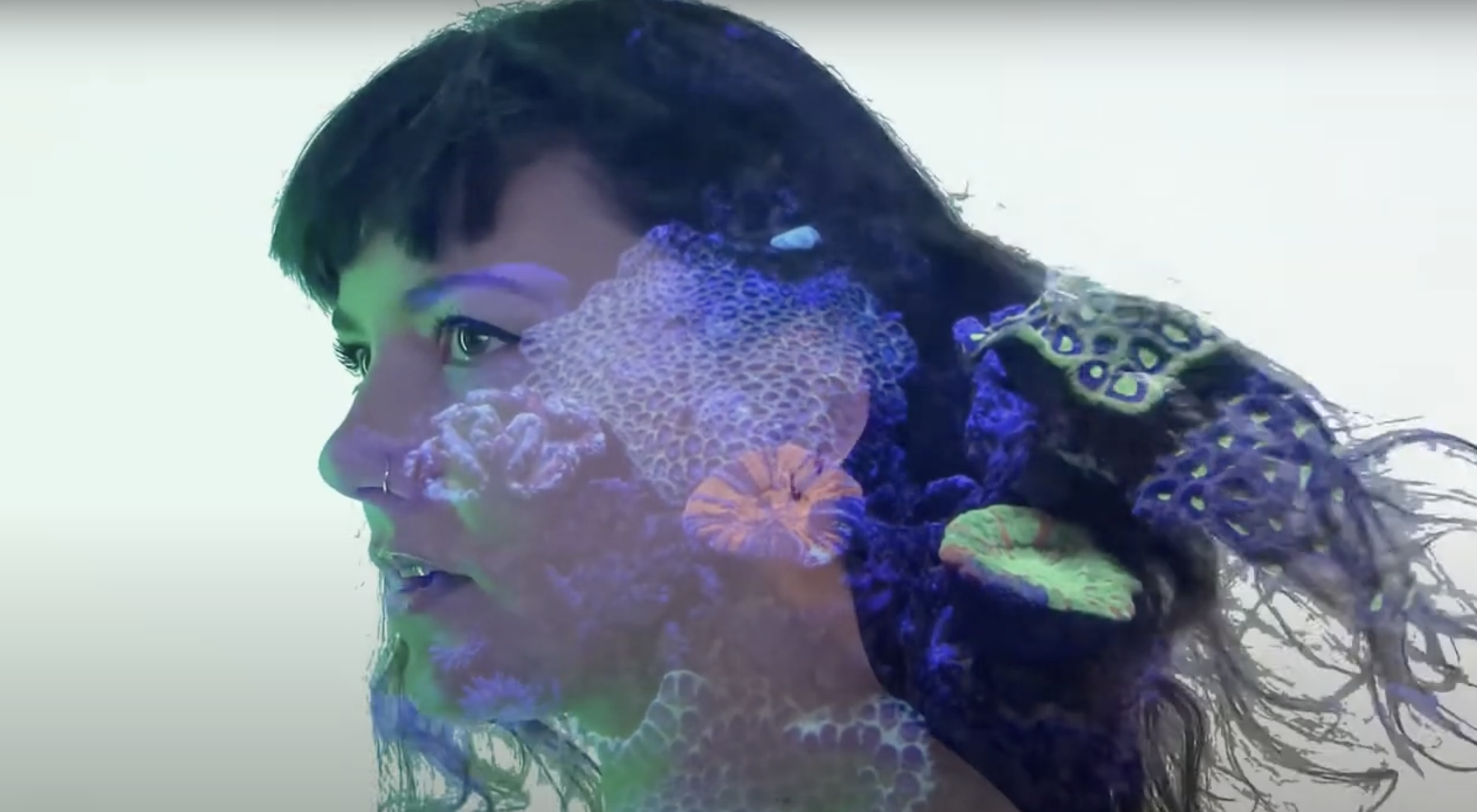 Screenshot 2024-08-05 at 13.10.17.png