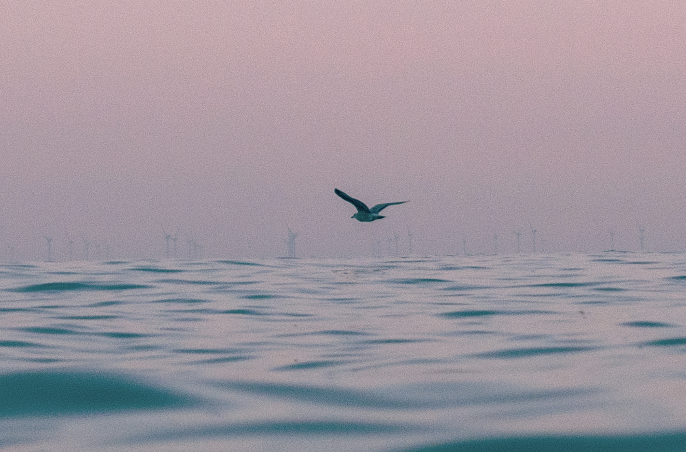 Screenshot 2026-04-01 at 12.52.03.png