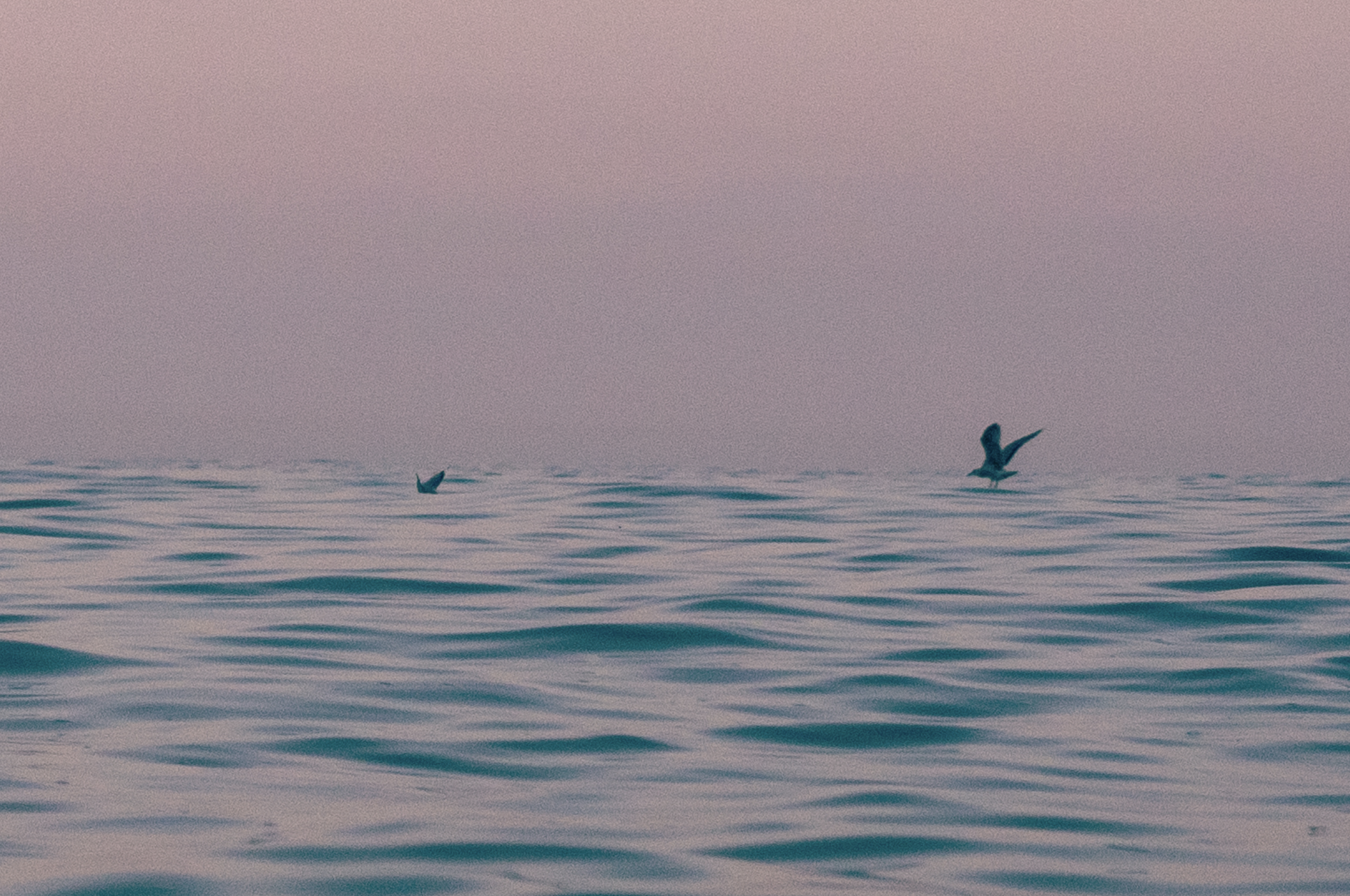 Screenshot 2026-04-01 at 12.51.57.png