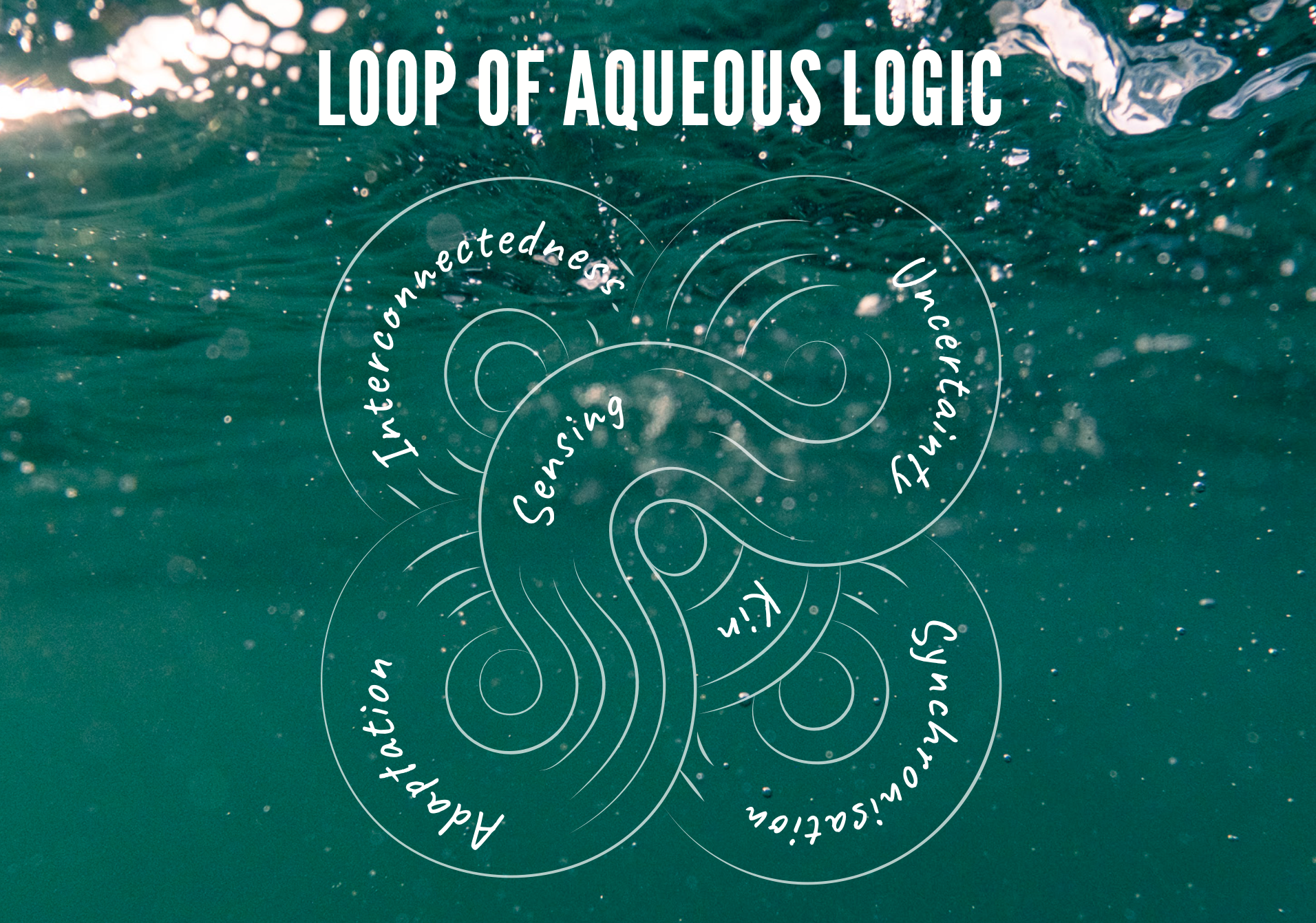 Screenshot 2026-04-01 at 13.15.58.png