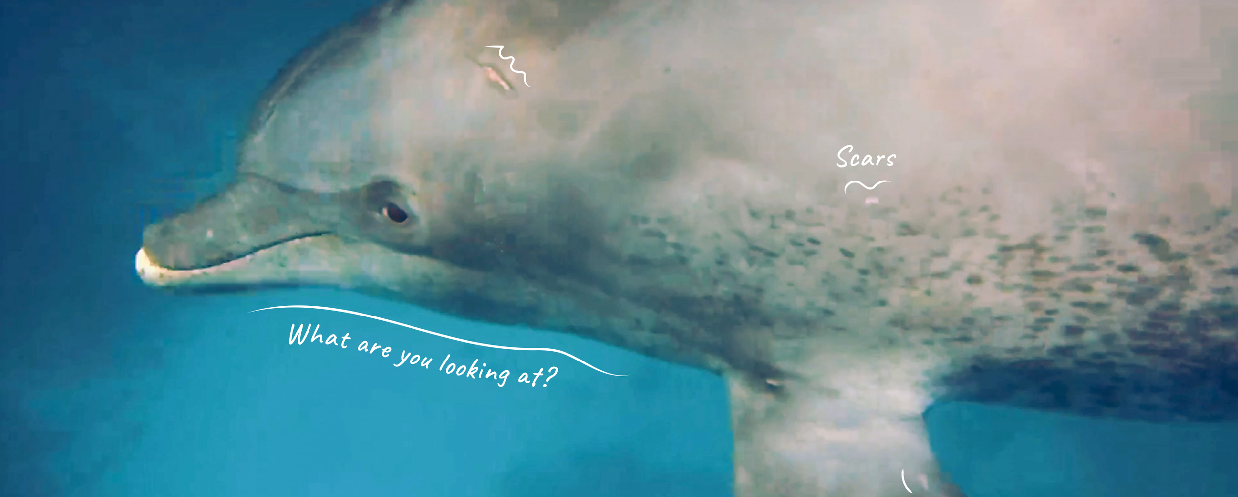 Screenshot 2026-04-01 at 13.21.12.png