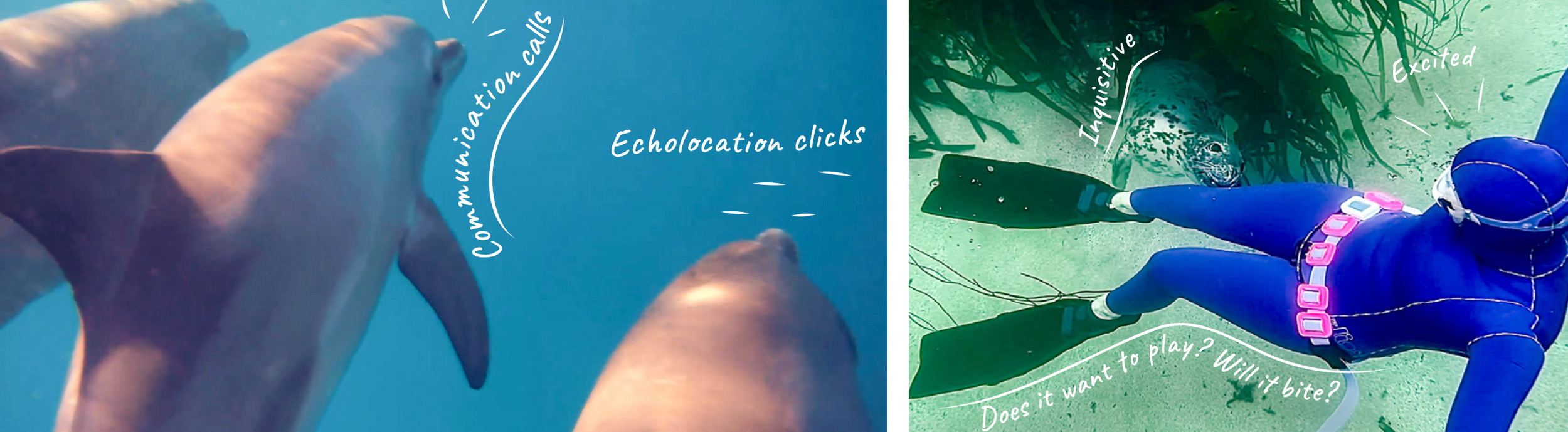 Screenshot 2026-04-01 at 13.21.23.png