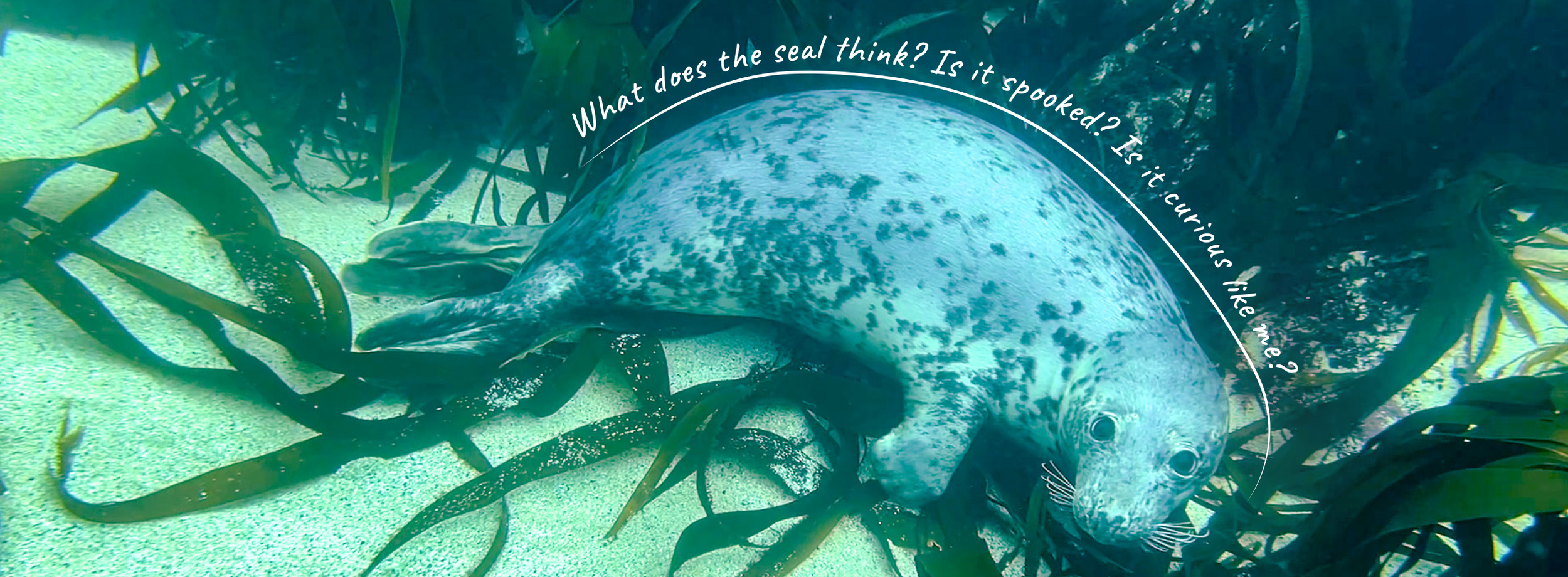 Screenshot 2026-04-01 at 13.21.35.png