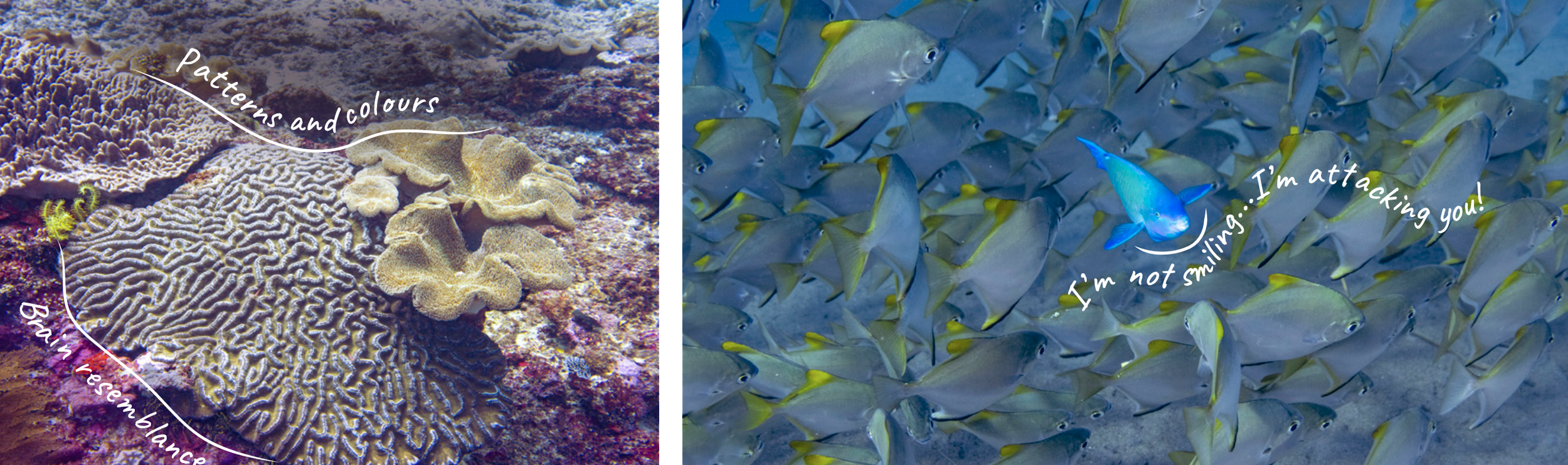 Screenshot 2026-04-01 at 13.21.47.png