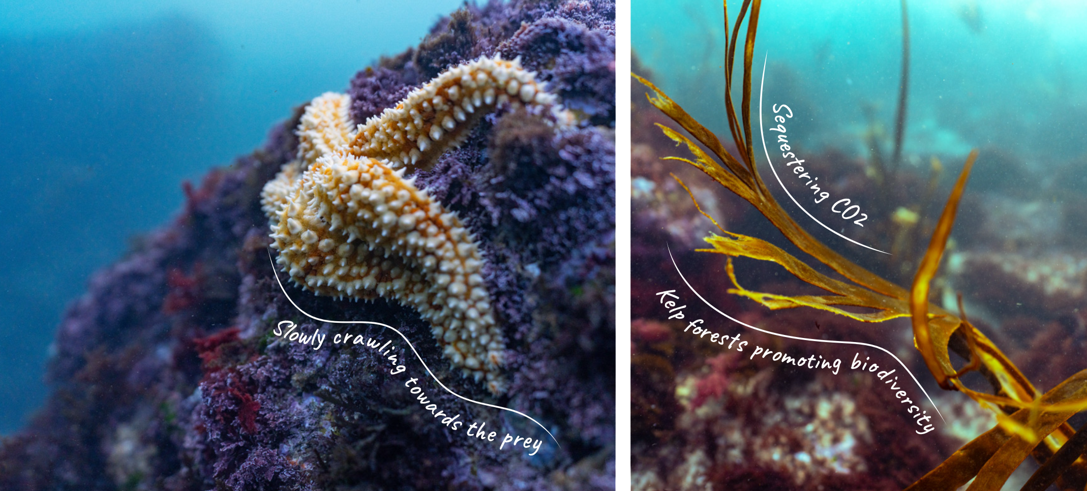 Screenshot 2026-04-01 at 13.22.04.png