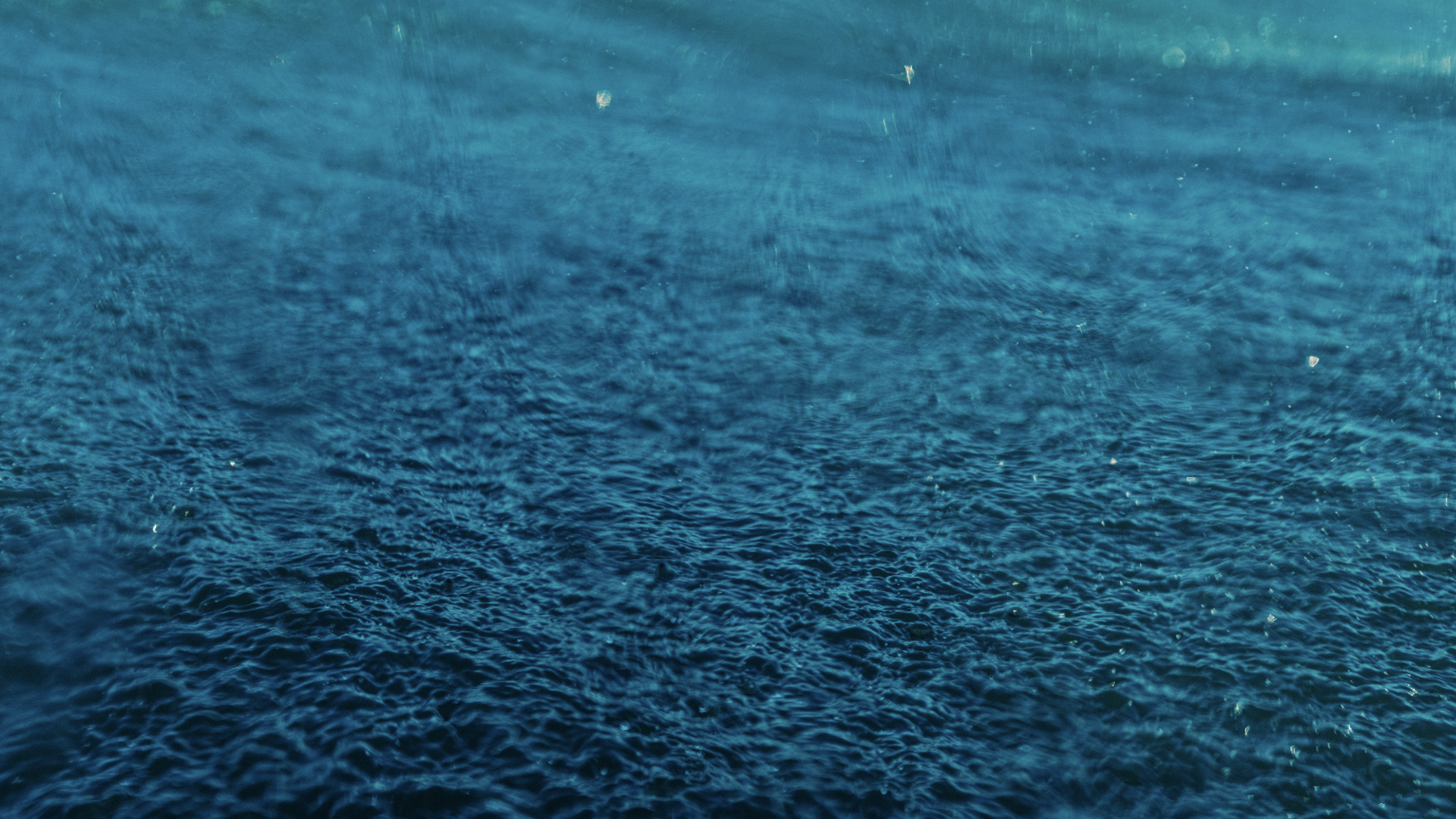 Screenshot 2026-04-01 at 14.20.56.png