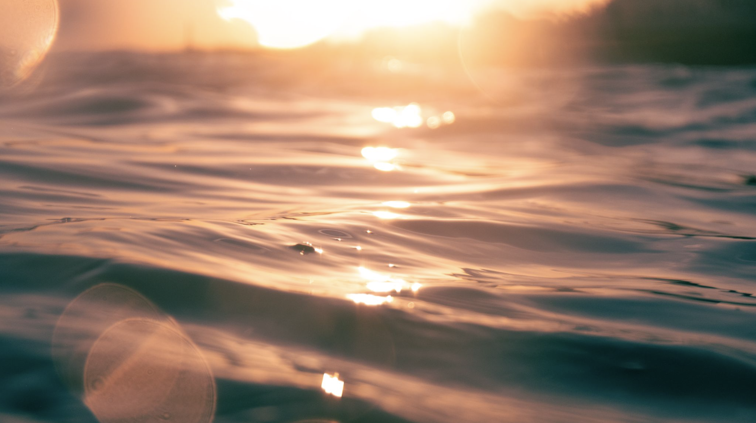 Screenshot 2026-04-01 at 14.24.03.png