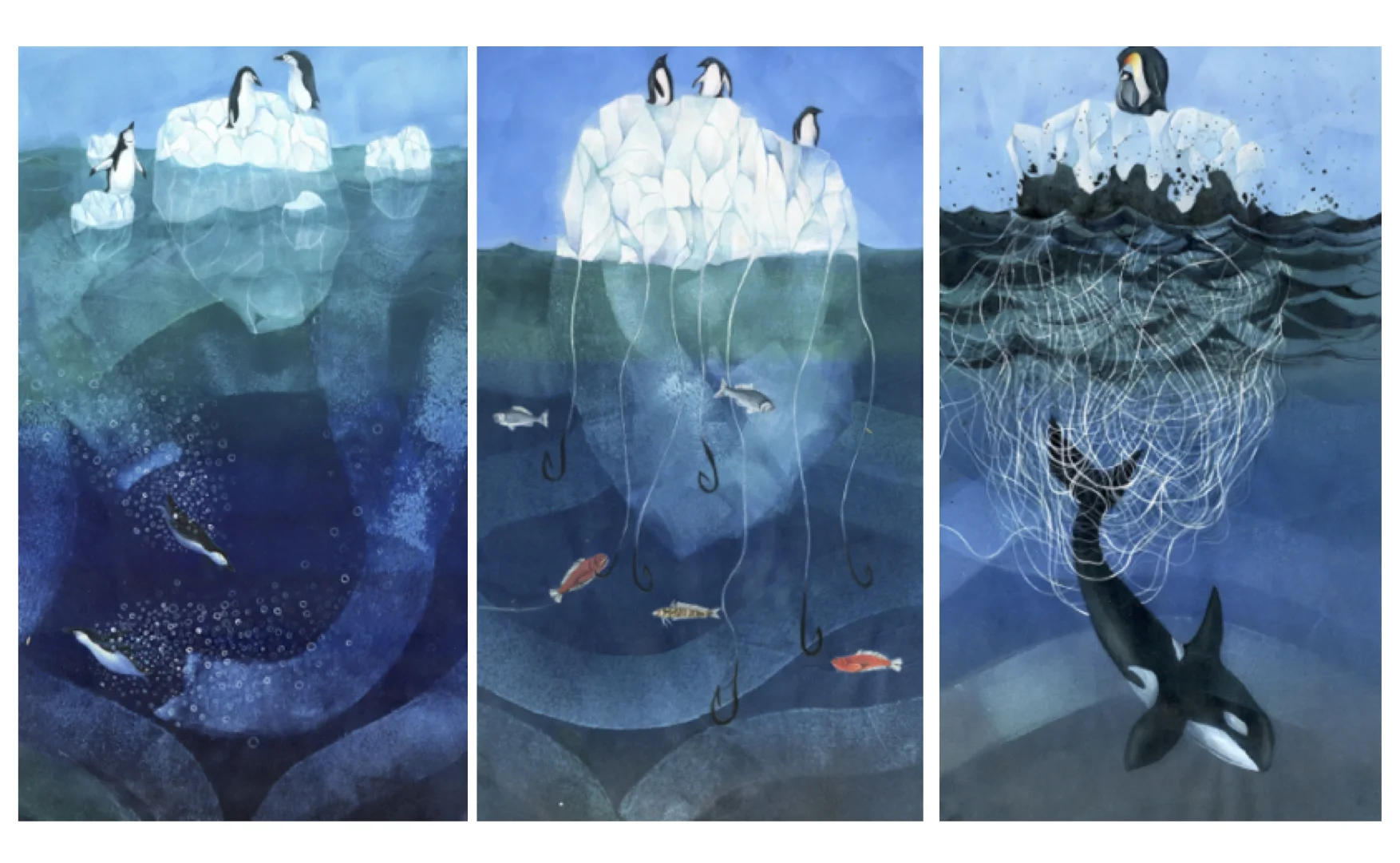 Support Marine Reserves in the Antarctic: Overfishing, Bycatch, Climate Change are inspired by the urgent need to create reserves in the ocean as well as the land. The Antarctic waters are relatively untouched by humans in comparison to other parts of the ocean, but our increased fishing activity is threatening many species who are already stressed with climate change. Bycatch illuminates the huge issue of Bycatch of other species that occurs, especially when marine life is overfished, thus the need for marine reserves.