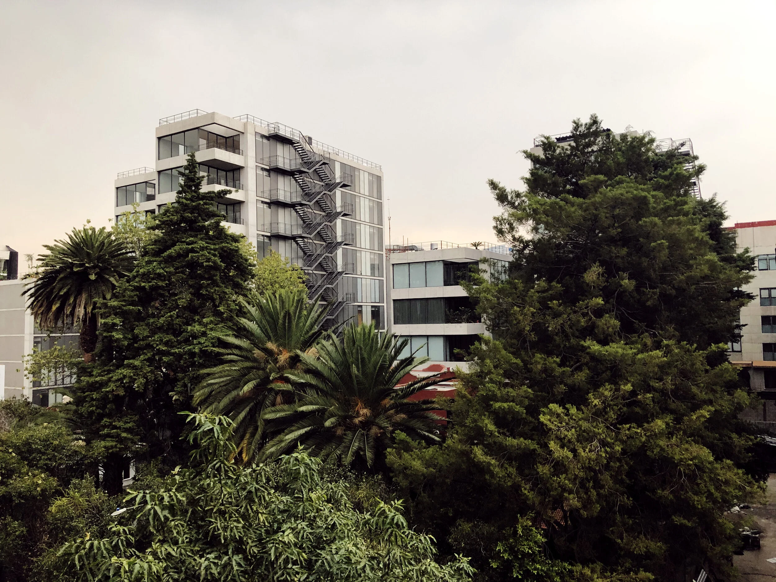 Image: La Condesa, Mexico City