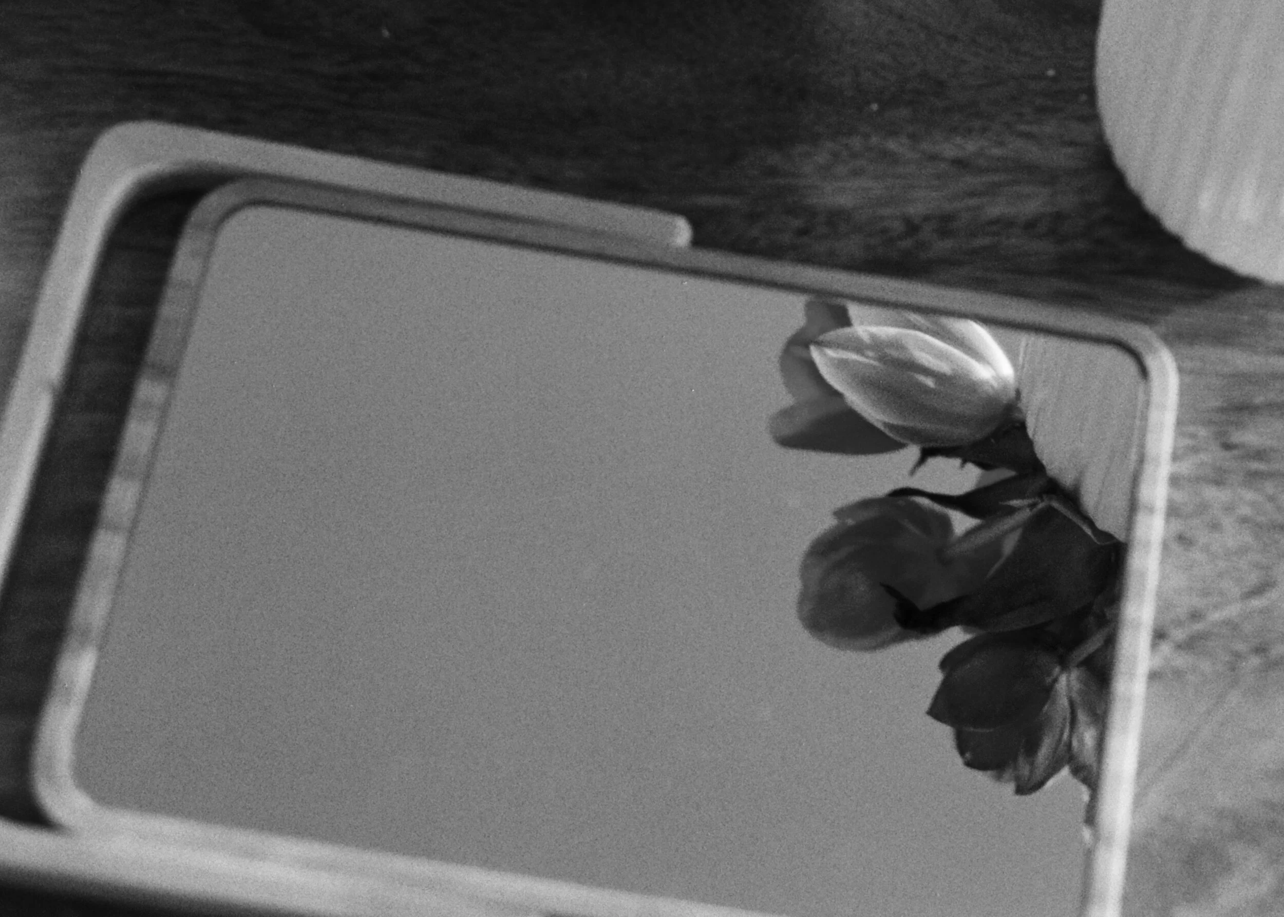 All images courtesy of the artist.