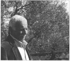 Walking through our family’s olive grove in Turmosayya, Palestine (35 mm, B&amp;W photograph by the author).