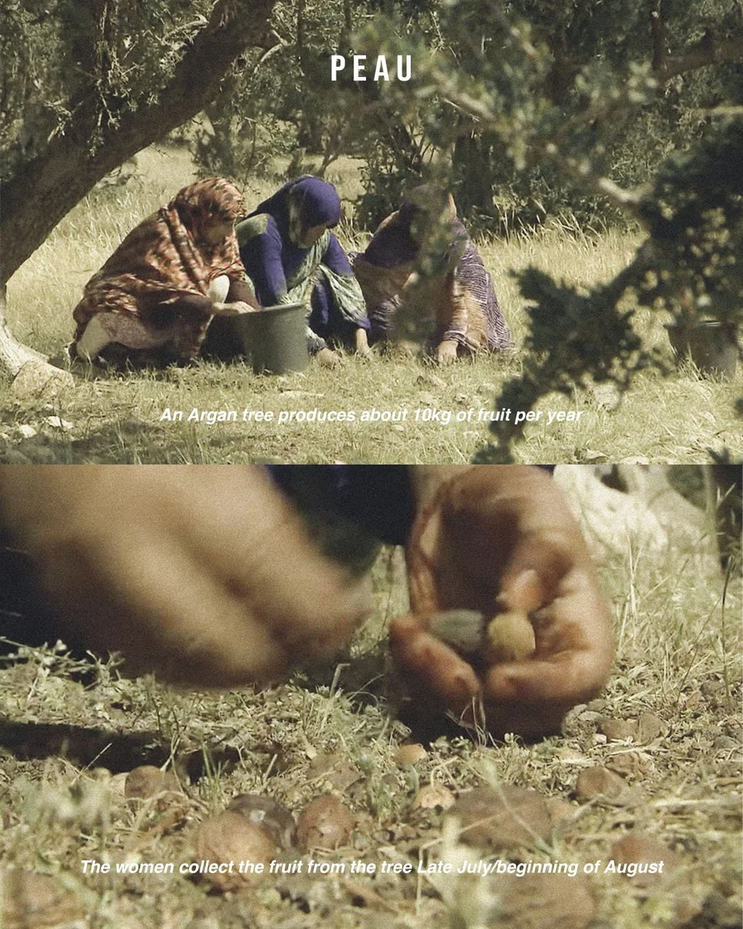 productionprocess.psdArtboard 1.jpg