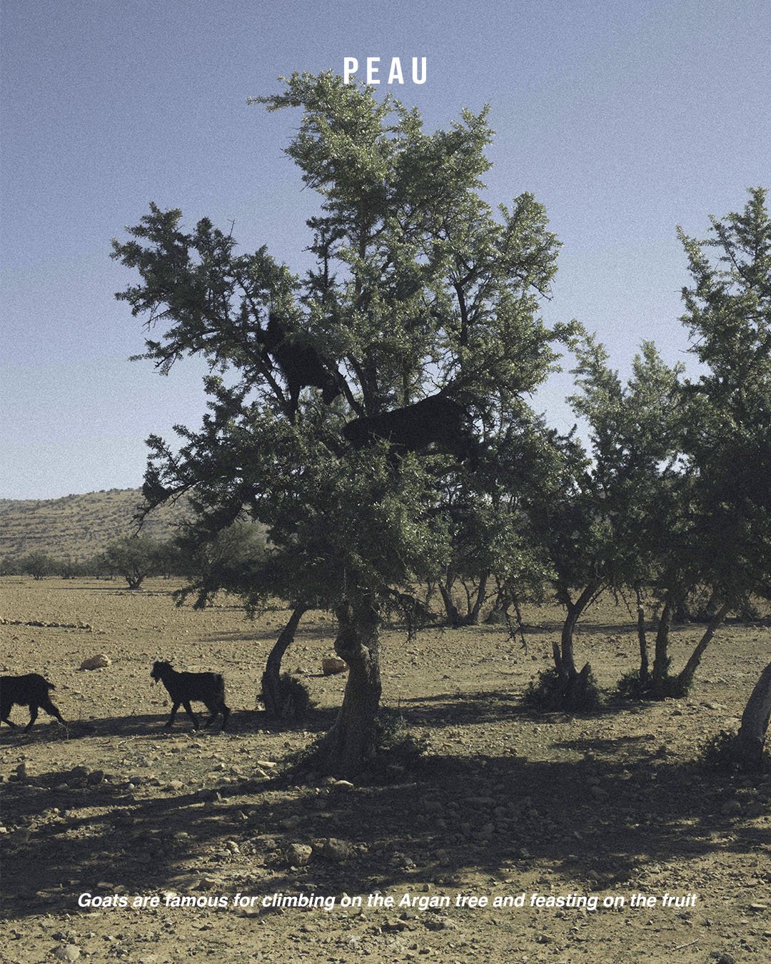 productionprocess.psdArtboard 2.jpg