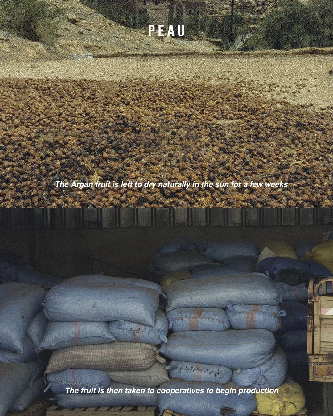 productionprocess.psdArtboard 5.jpg