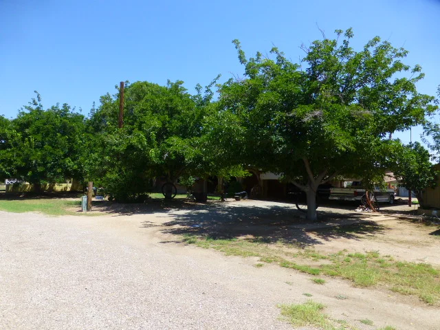 Front of house, nice shade trees - Copy.JPG