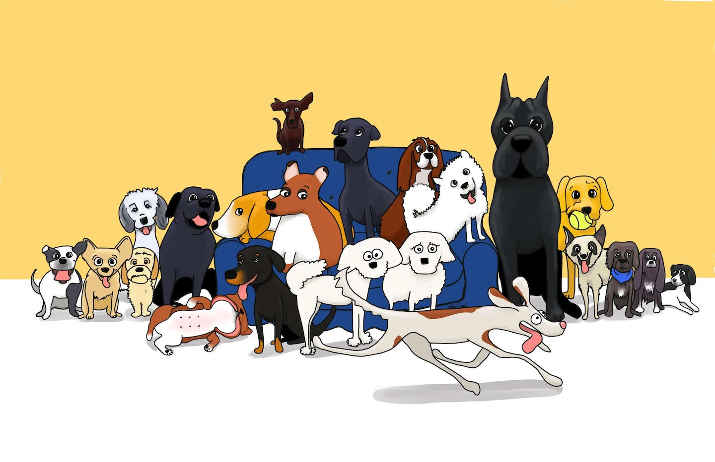 many-dogs-jolie-canoli.jpg