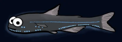 Lanternfish