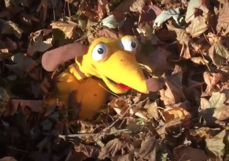 Buddy Blog Episode 3: Fall Leaves