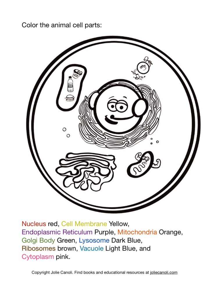 Cells for Kids — Jolie Canoli Cells for Kids — Jolie Canoli