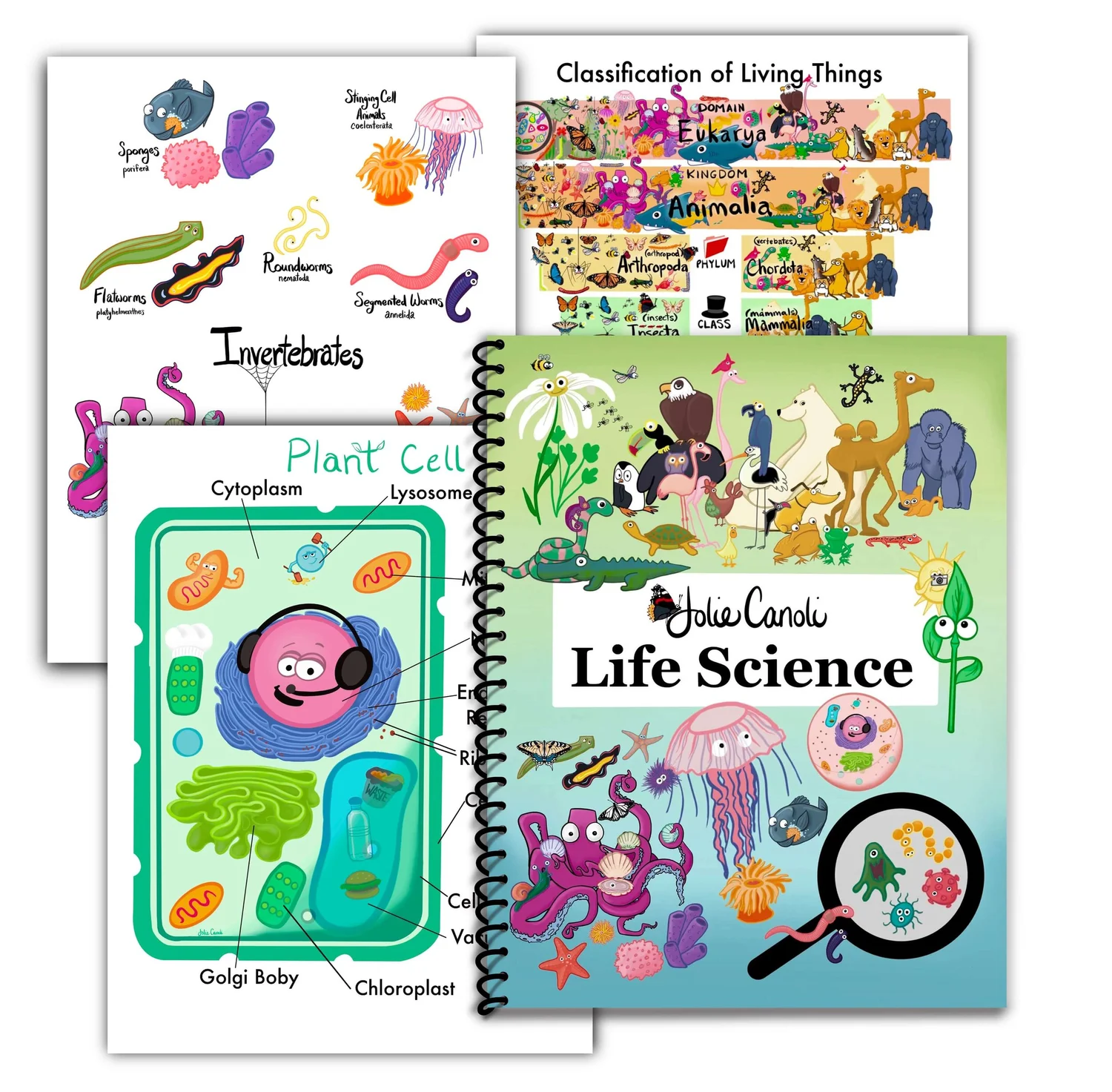 Jolie Canoli Life Science Packet — Jolie Canoli