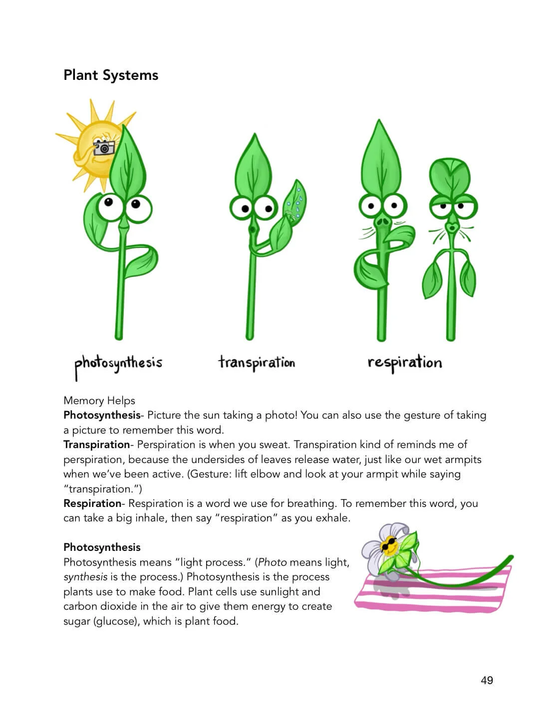 plant-systems-lifesci-preview-joliecanoli.JPG
