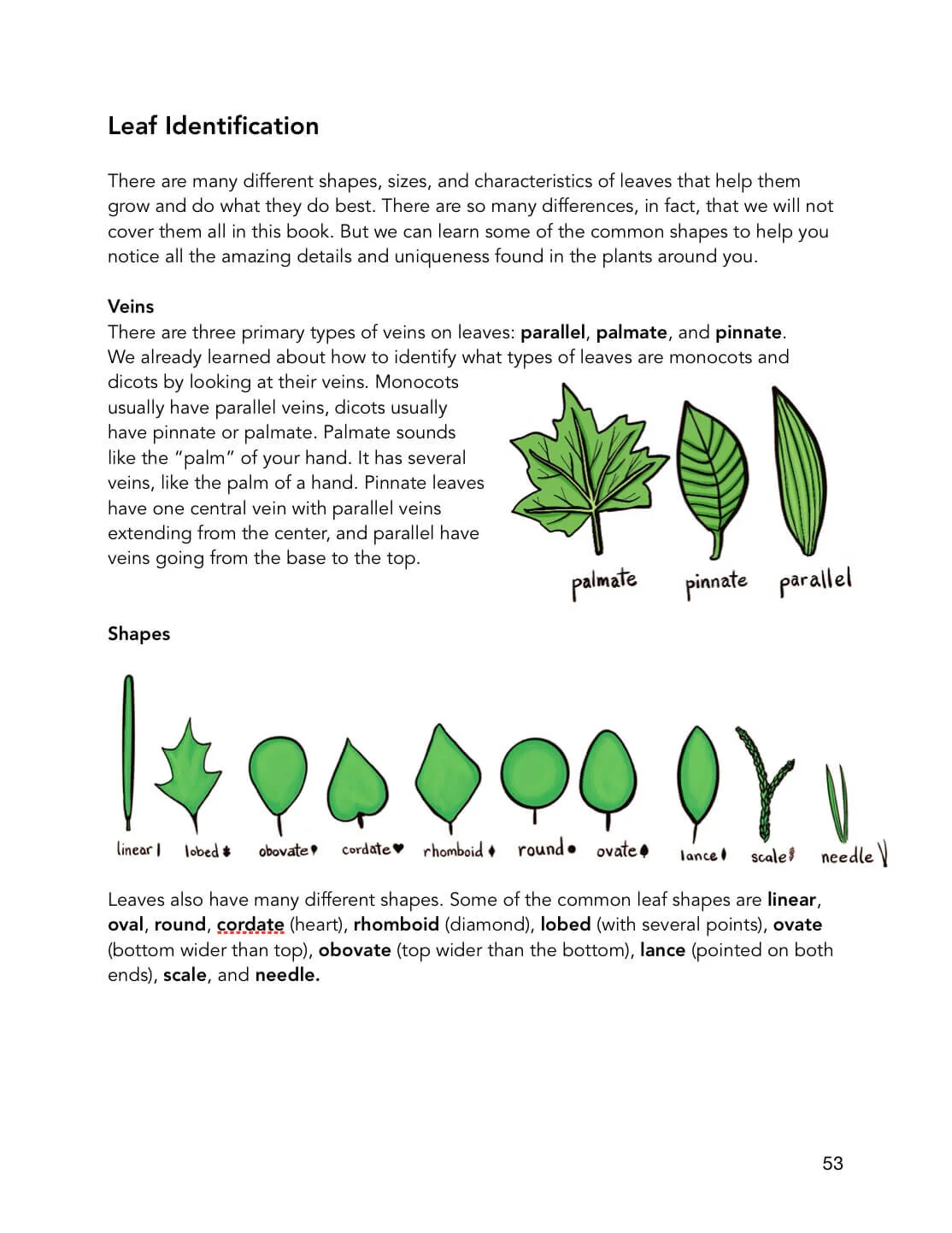leaf-identificaiton-lifesci-preview-joliecanoli.JPG