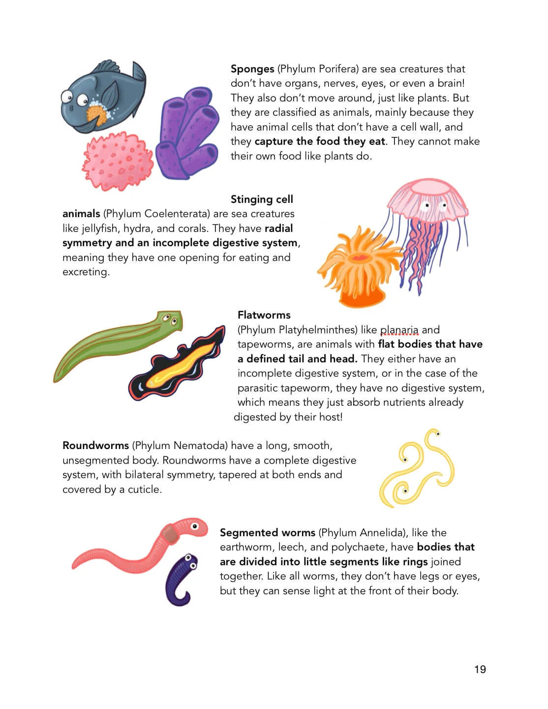 invertebrates-lifesci-preview-joliecanoli.JPG