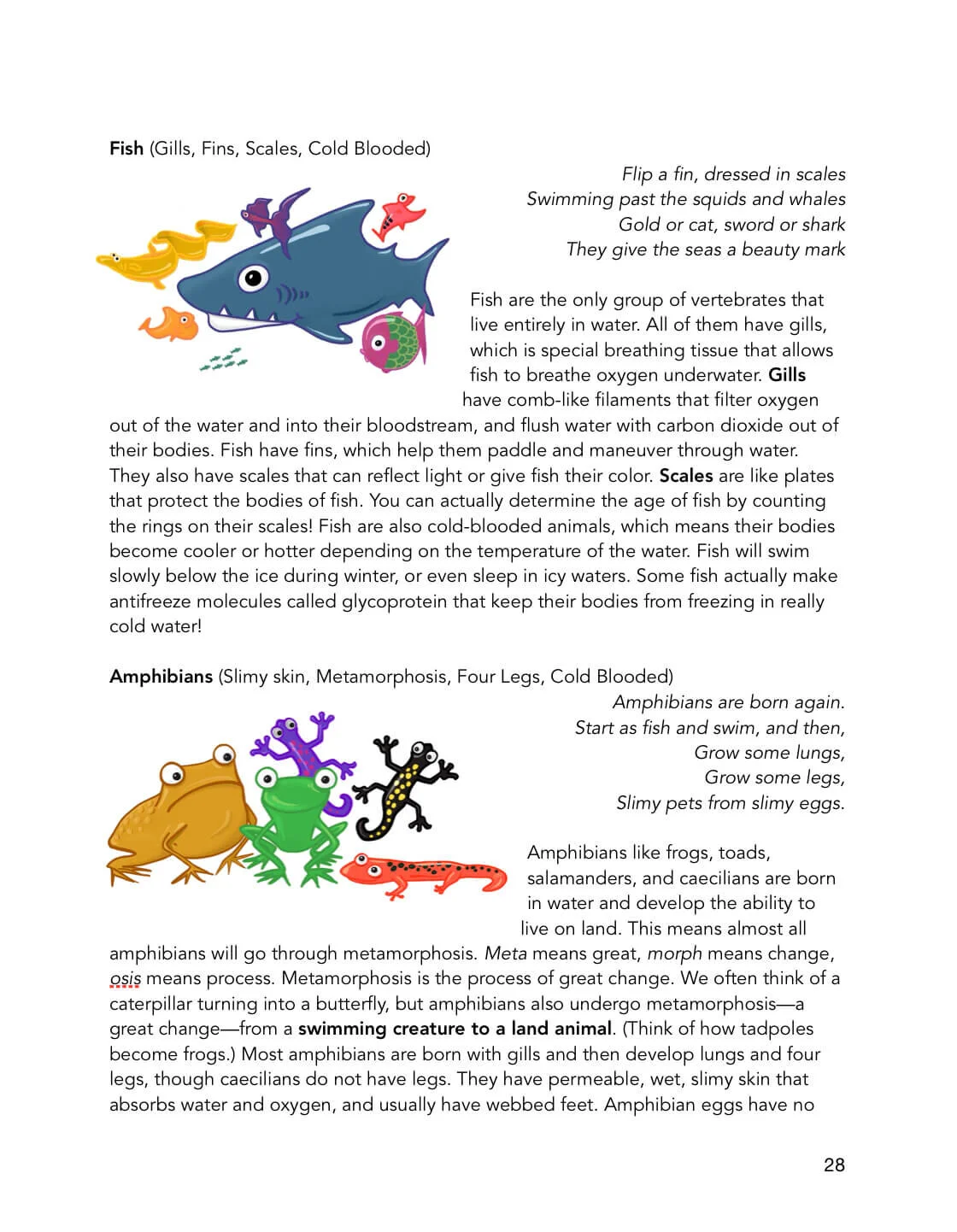 vertebrates-fish-amph-joliecanoli.JPG